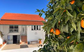 Casa do Avô Patrício - Amazing Country House